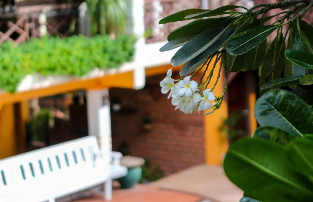 Chandara Boutique Hotel-1